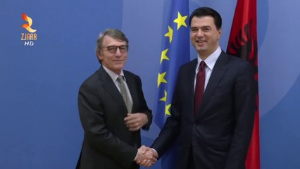 PRESIDENTI I PE SË TAKON BASHËN NË SELINË E PD SË