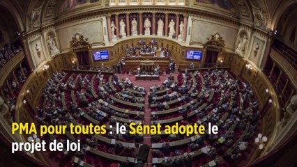 PMA pour toutes : le Sénat adopte le projet de loi