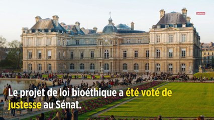 PMA pour toutes : le Sénat adopte le projet de loi