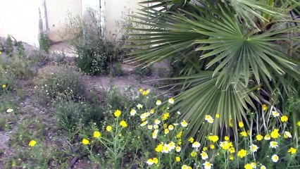 Entrando en una Casa Abandonada - Exploración