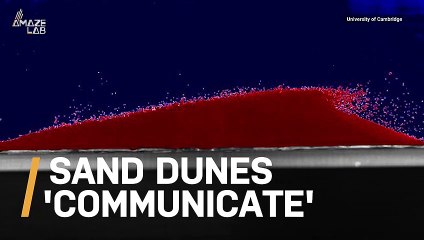Scientists Find Sand Dunes 'Communicate' With Each as they Migrate