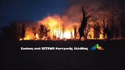 Φωτιά στο Πλατανοδάσος Μεξιατών