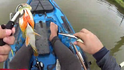 Pescaria no natal = Boa sorte