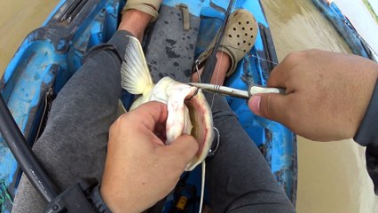 PESCA DE BAGRES COM CAIAQUE