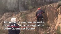 Tempête Hervé en Corse: les pompiers bataillent contre le feu, 1.100 hectares brûlés