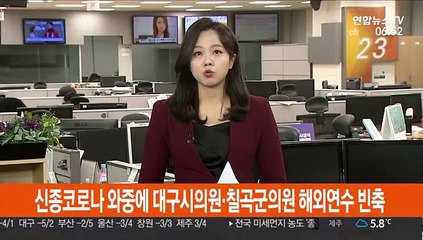 신종코로나 와중에 대구시의원·칠곡군의원 해외연수 빈축