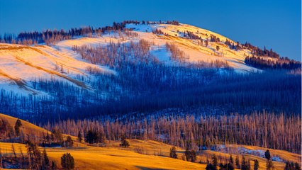 How Nevada, North Dakota And Wyoming Plan To Avoid Iowa-Style Caucus Debacles