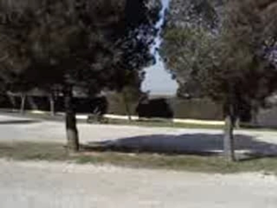 Video0085