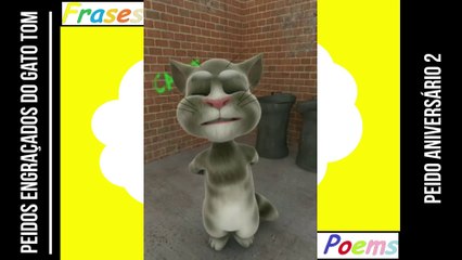 Peidos engraçados do gato tom: Peido aniversário 2, ele comemora o seu aniversário... [Frases e Poemas]