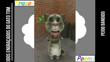 Peidos engraçados do gato tom: Peido bandido, é um fora da lei! [Frases e Poemas]