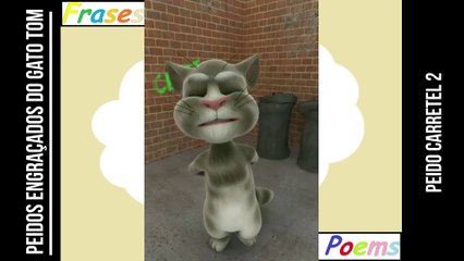 Peidos engraçados do gato tom: Peido carretel 2, ele enrola bem antes! [Frases e Poemas]
