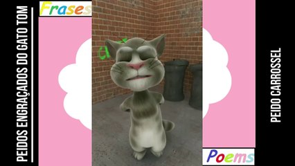 Peidos engraçados do gato tom: Peido carrossel, vai te deixar tonto de fedor! [Frases e Poemas]