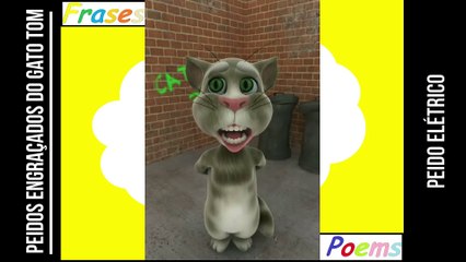 Peidos engraçados do gato tom: Peido elétrico, você vai entrar em choque! [Frases e Poemas]