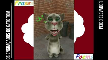 Peidos engraçados do gato tom: Peido elevador, não importa o andar! [Frases e Poemas]