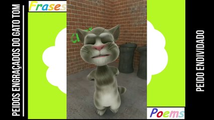 Peidos engraçados do gato tom: Peido endividado, quando chega no momento do aperto... [Frases e Poemas]