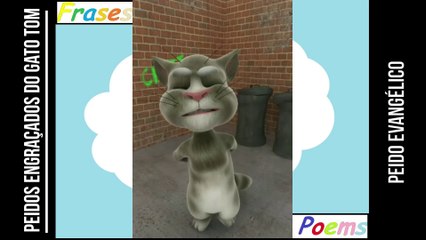 Peidos engraçados do gato tom: Peido evangélico, sai no meio do culto! [Frases e Poemas]