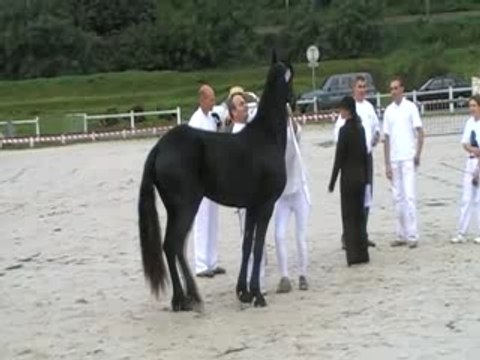 Concours aix les bains chency9