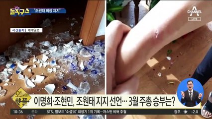 [핫플]“조원태 회장 지지” …이명희·조현민 ‘캐스팅보트’