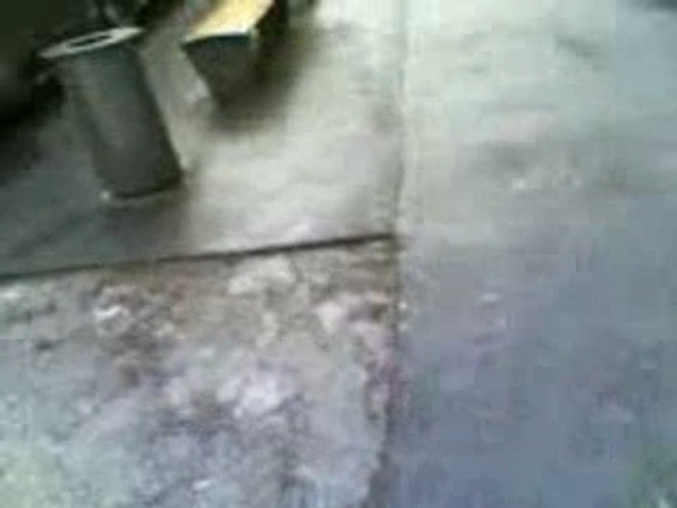 Crone et le bus
