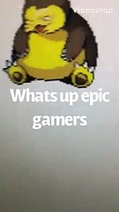 whats up epic gamers welcome to my channel