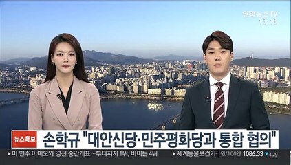 손학규 "대안신당·민주평화당과 통합 협의"…호남 기반 3당통합 추진