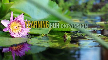 Spotify Music | Live Fully | New Songs 2020 | Best Sound Cloud Music | Produce By zelinen