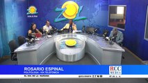 Politóloga Rosario Espinal comenta sobre el panorama político actual