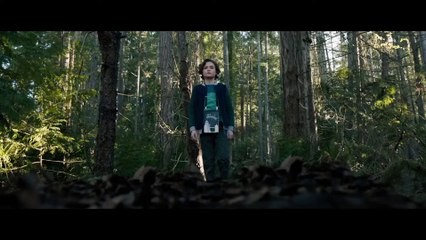 The Boy La maldición de Brahms - Trailer de la Película