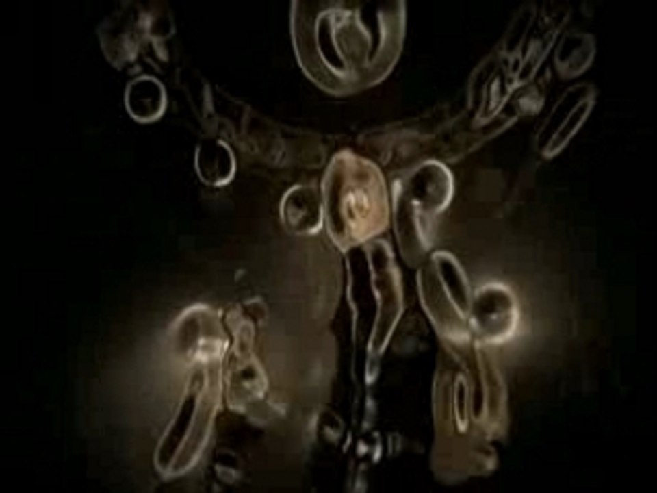 Masami Okui - W
