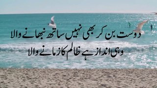 AHMAD FARAZ | Urdu Shayari | Urdu Ghazal | Ibn_e_Ata | Best Urdu Poetry  |احمد فرازؔ | अहमद फराज़