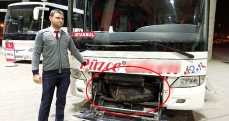 Otobüste piton paniği! Uzun uğraşlar sonucu stepne bölgesinde bulundu