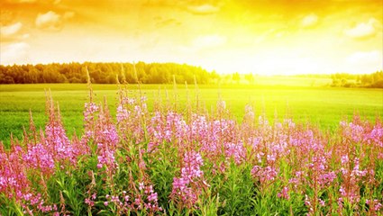 Judika - Kasih Bapa (Official Music Video)