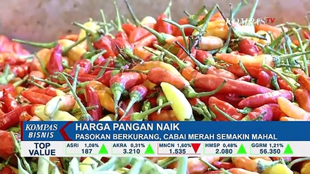Stok Berkurang, Harga Cabai Makin Pedas!