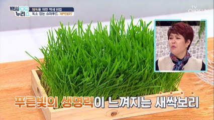 ‘새싹보리’ 알고 보면 영양 덩어리?!