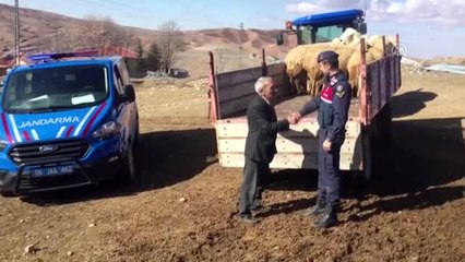 Ankara'da küçükbaş hayvan hırsızlığı yaptığı iddiasıyla 4 kişi gözaltına alındı