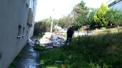 Zonguldak'ta bulunan su samuru doğal yaşam alanına bırakıldı