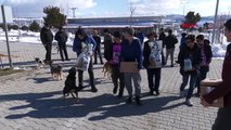 Konya öğrenciler, harçlıklarıyla kedi ve köpekler için mama aldı