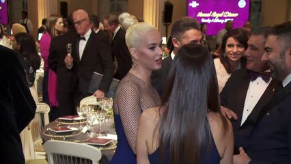 Prince Charles joined by Katy Perry at trust reception