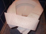 Pourquoi il ne faut jamais poser de papier sur la cuvette des toilettes publiques