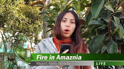 Fundamentos de Economia NEWS