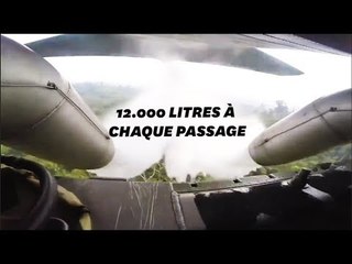 Des bombardiers d'eau enfin déployés contre les incendies au Brésil