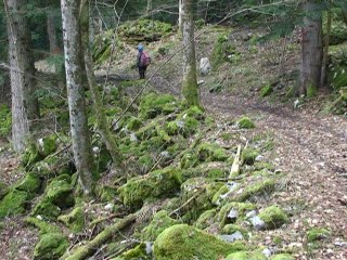 Tour de l' Eperrimont - Vercors