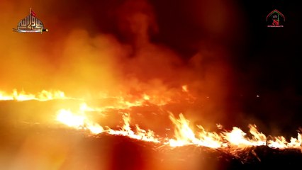 AMMAR HANI, Album 2019-20 | Aik Bachi Hai Pareshan –  ایک بچی ہے پریشان