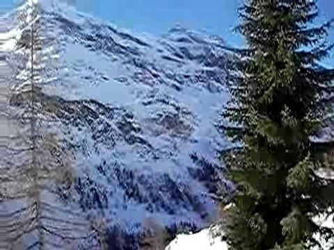 BALLADE EN RAQUETTES