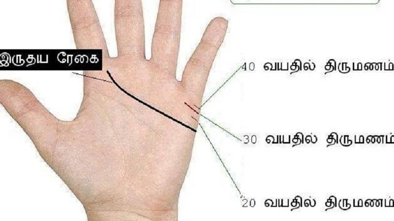 These lucky palm line signs can make you rich and famous : உங்களை பற்றி உங்கள் கைரேகை என்ன சொல்லுது