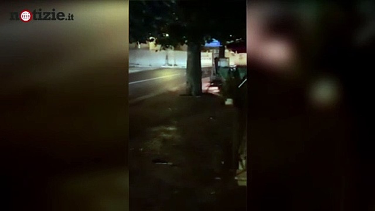 Abruzzo, famiglia d'orsi per le strade di Pescasseroli | Notizie.it