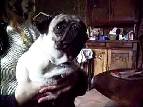 Anshan 30 millions damis 29/1/2008