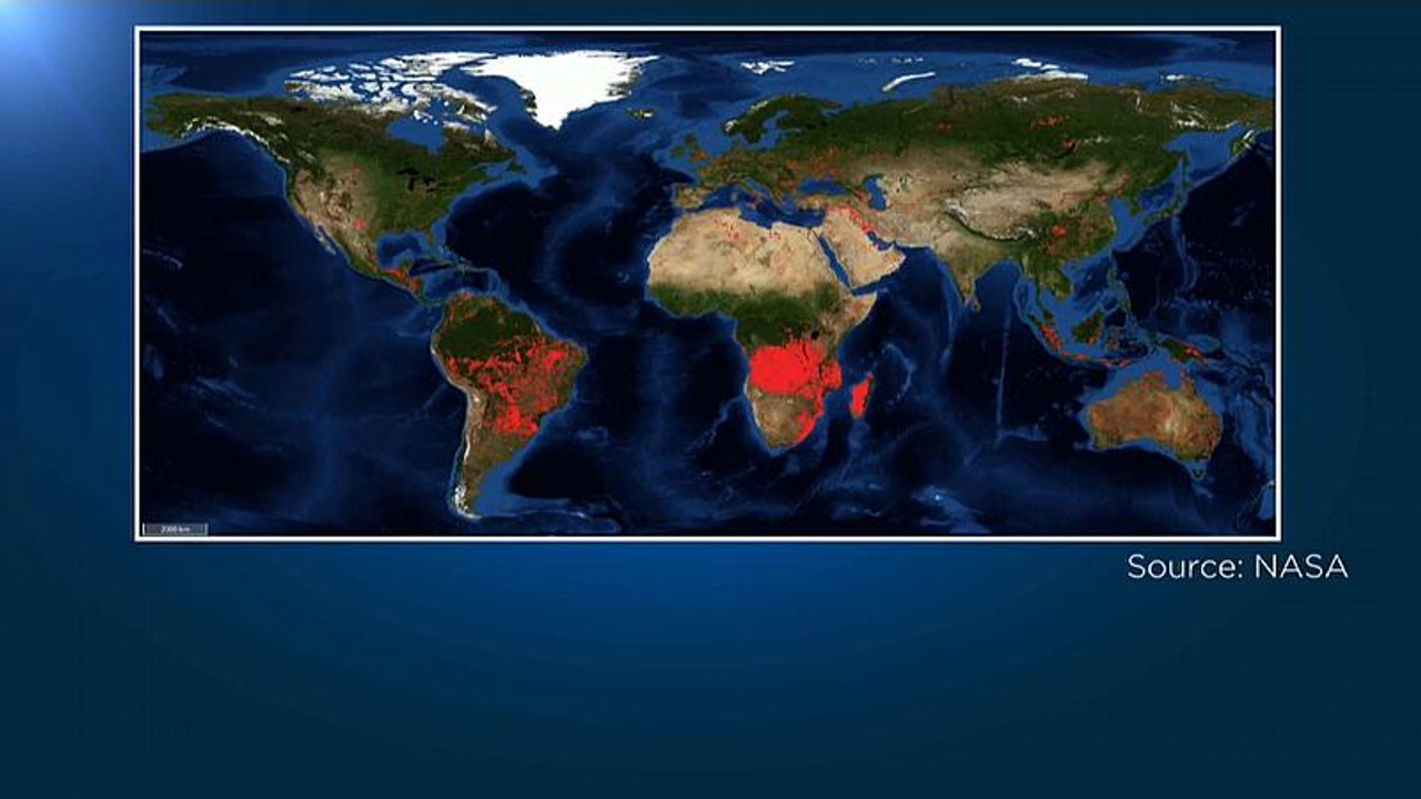 Nicht nur in Brasilien: Starker Anstieg der Waldbrände