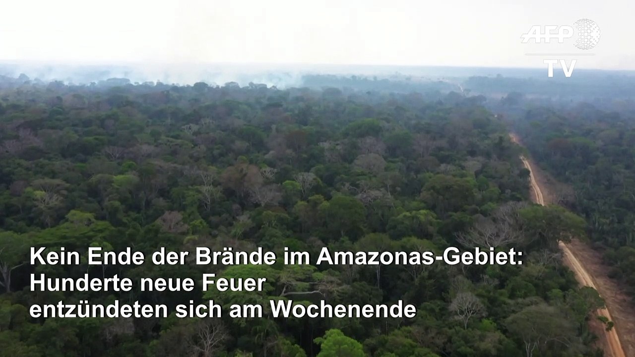 Immer neue Feuer im Amazonas-Gebiet