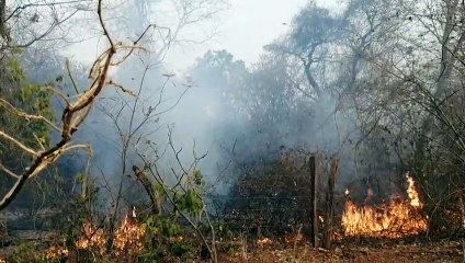 Gobierno localiza cinco principales incendios en Bolivia